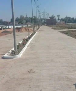 Ashok Nagar (Royal Paradise Colony